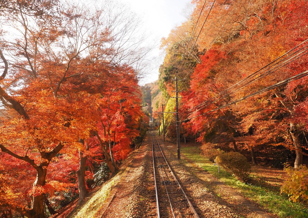 Takao-bjerget om efteråret, Hachioji, Japan  