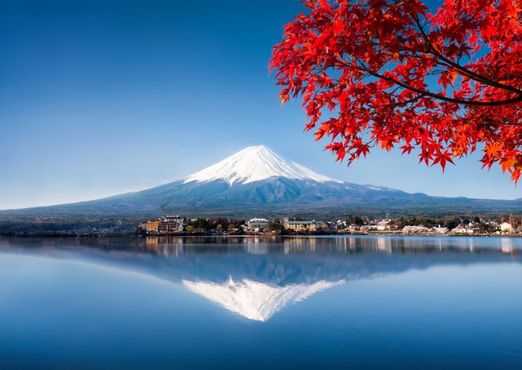 Mt. Fuji med rødt ahorntræ, efterår, Japan