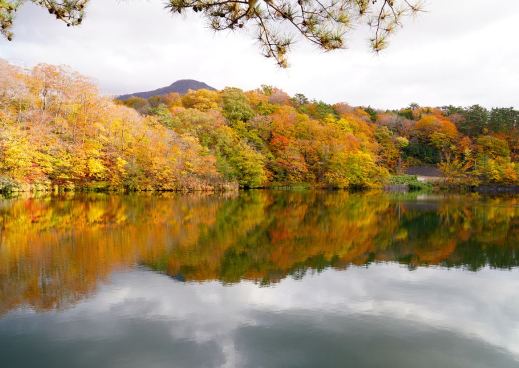 Efterårsfarver set fra Akechidaira udsigtspunkt, Chuzenji-søen, Nikko, Japan