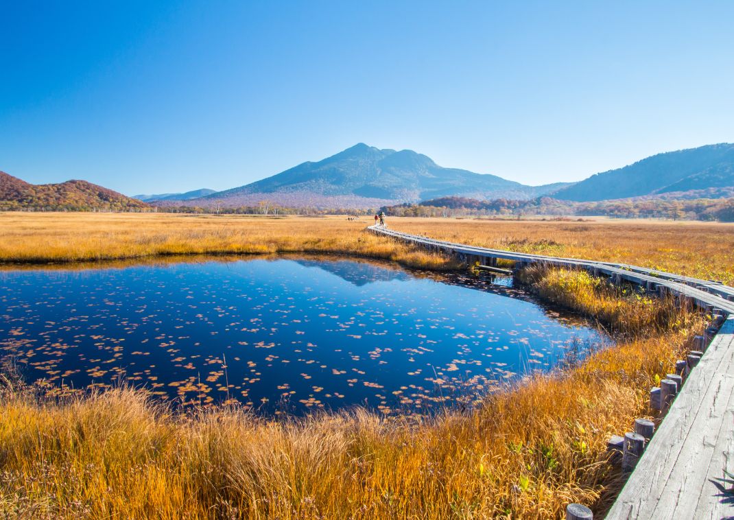 
Smuk sti i Oze nationalpark, Japan
