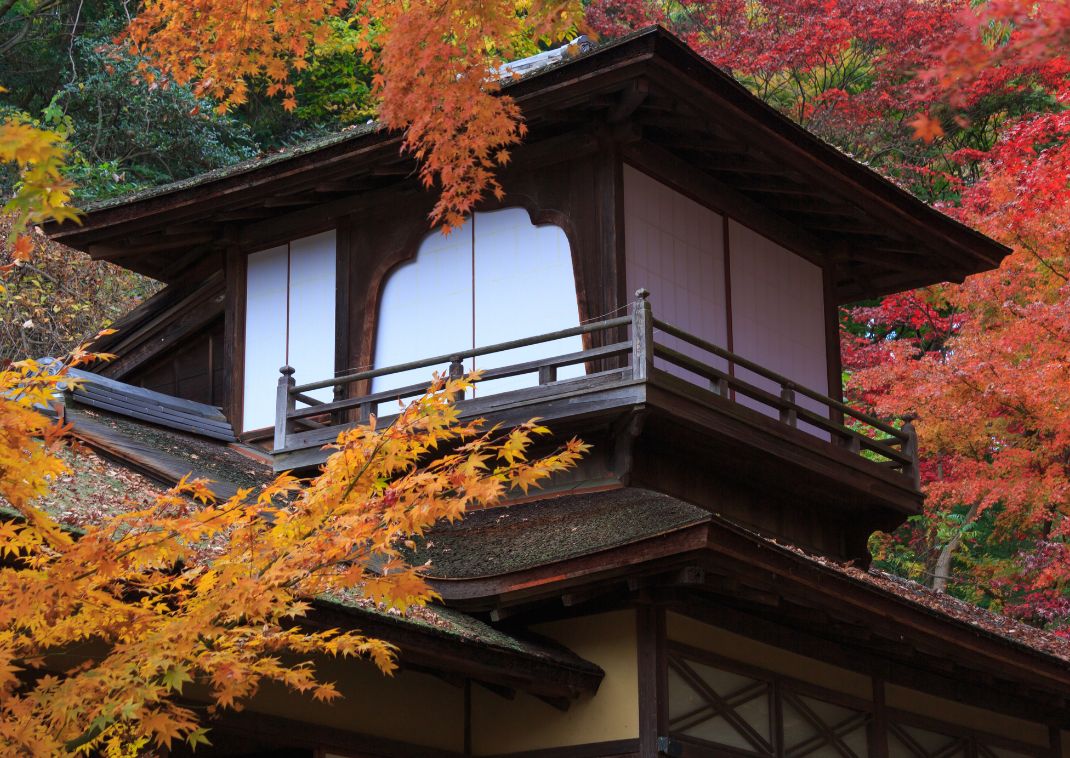 Autumn foliage in the Sankeien Garden, Yokohama, Kanagawa, Japan