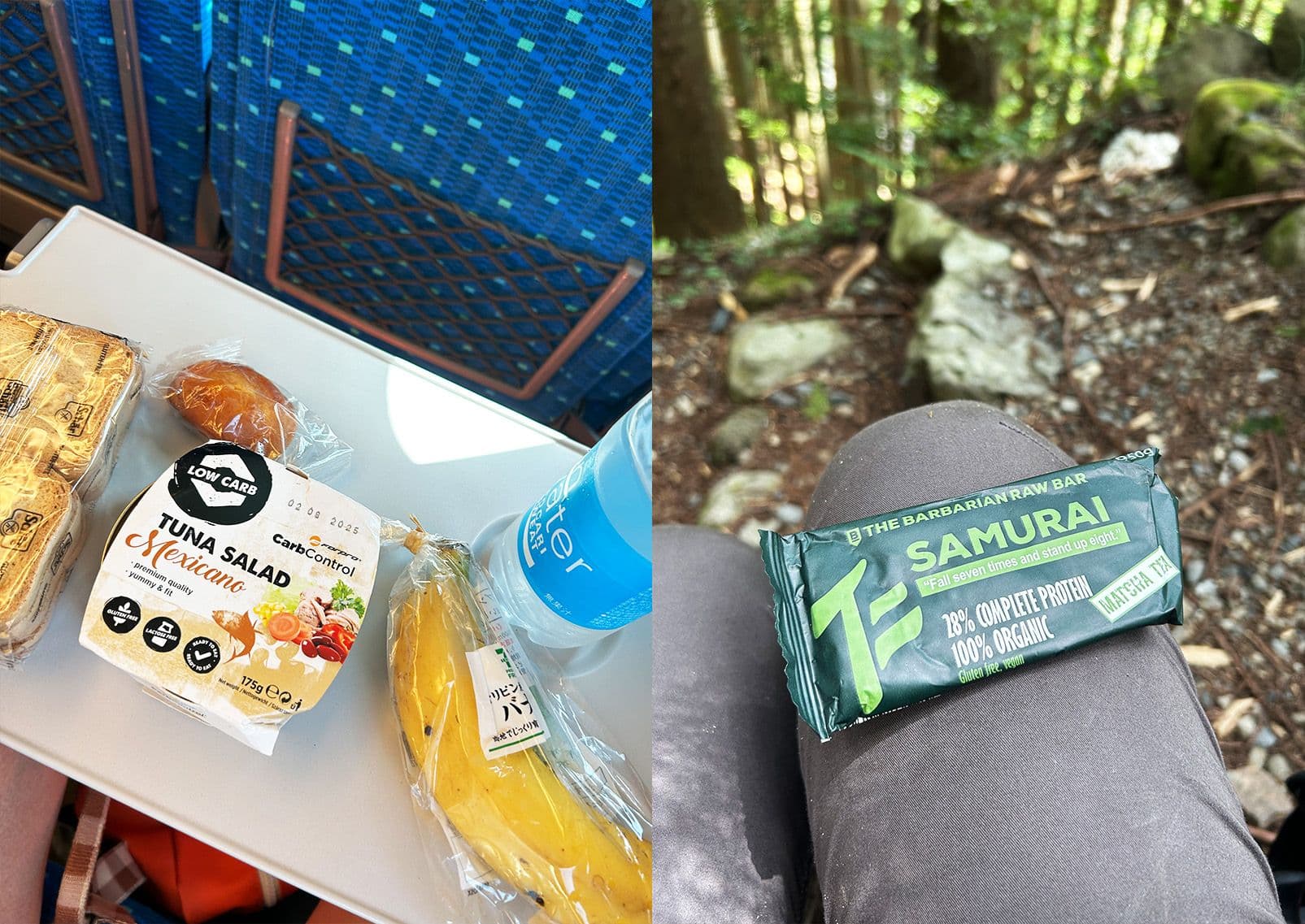 Glutenfri mad taget med på shinkansen og en vandretur, Japan