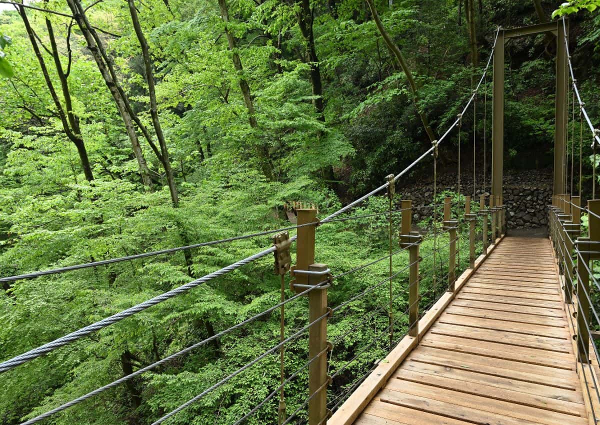 Hængebro på vandreruten på Mt. Takao, Tokyo
