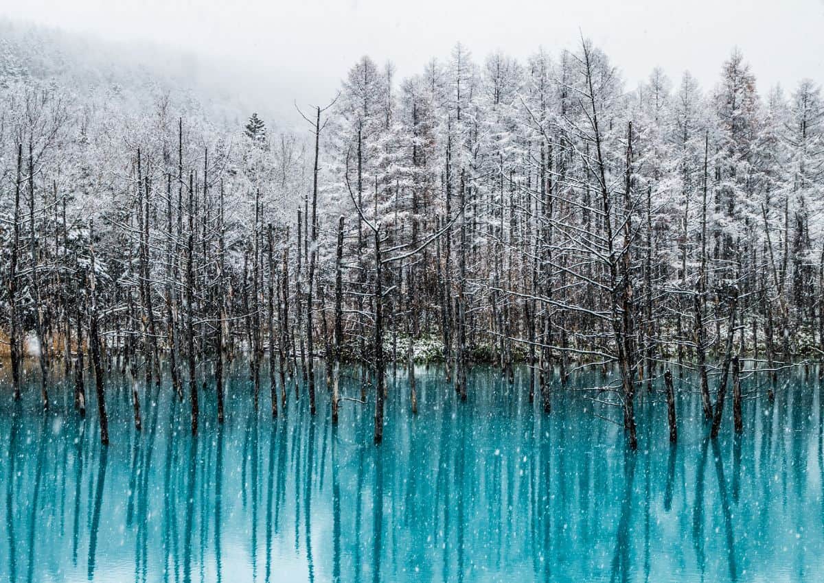Blå dem om vinteren, Biei, Hokkaido