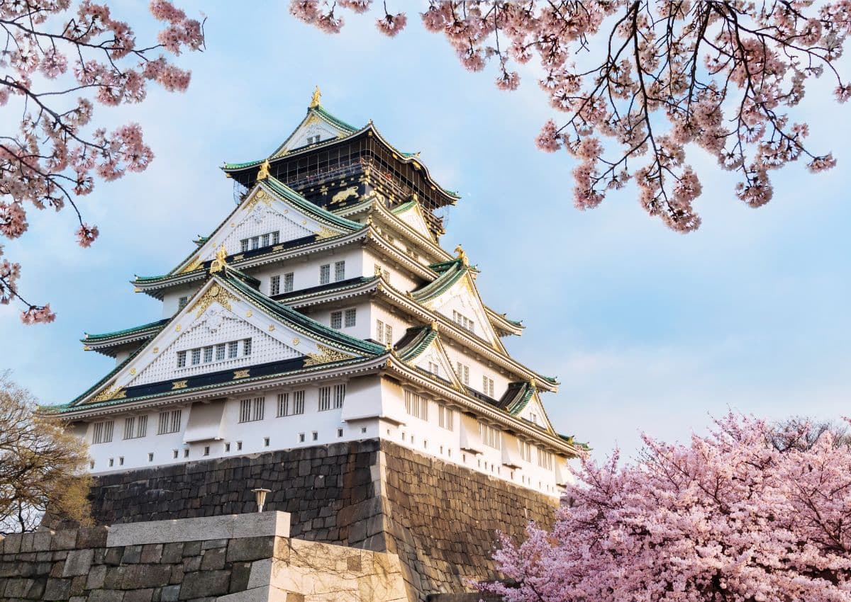 Osaka-borgen med kirsebærblomster, Japan