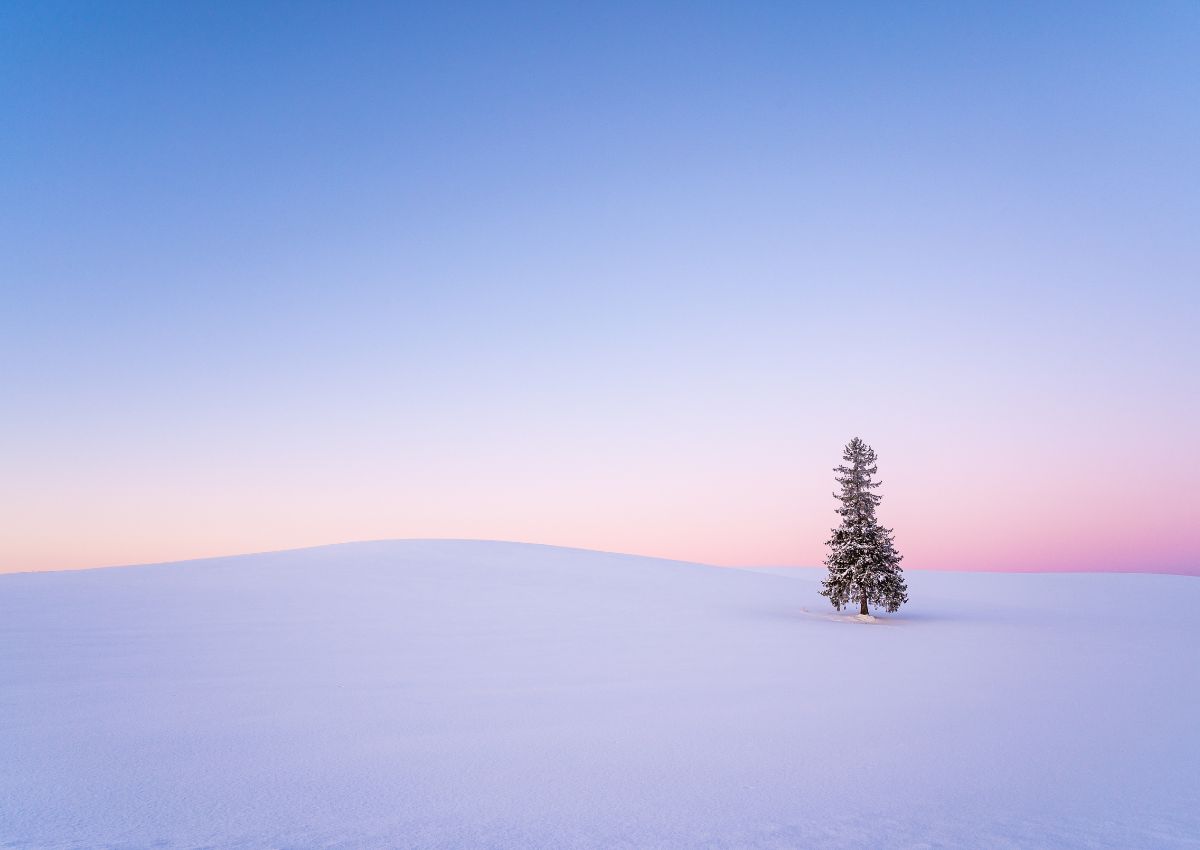 Udsigt over bakkerne i Biei-regionen om vinteren, Hokkaido