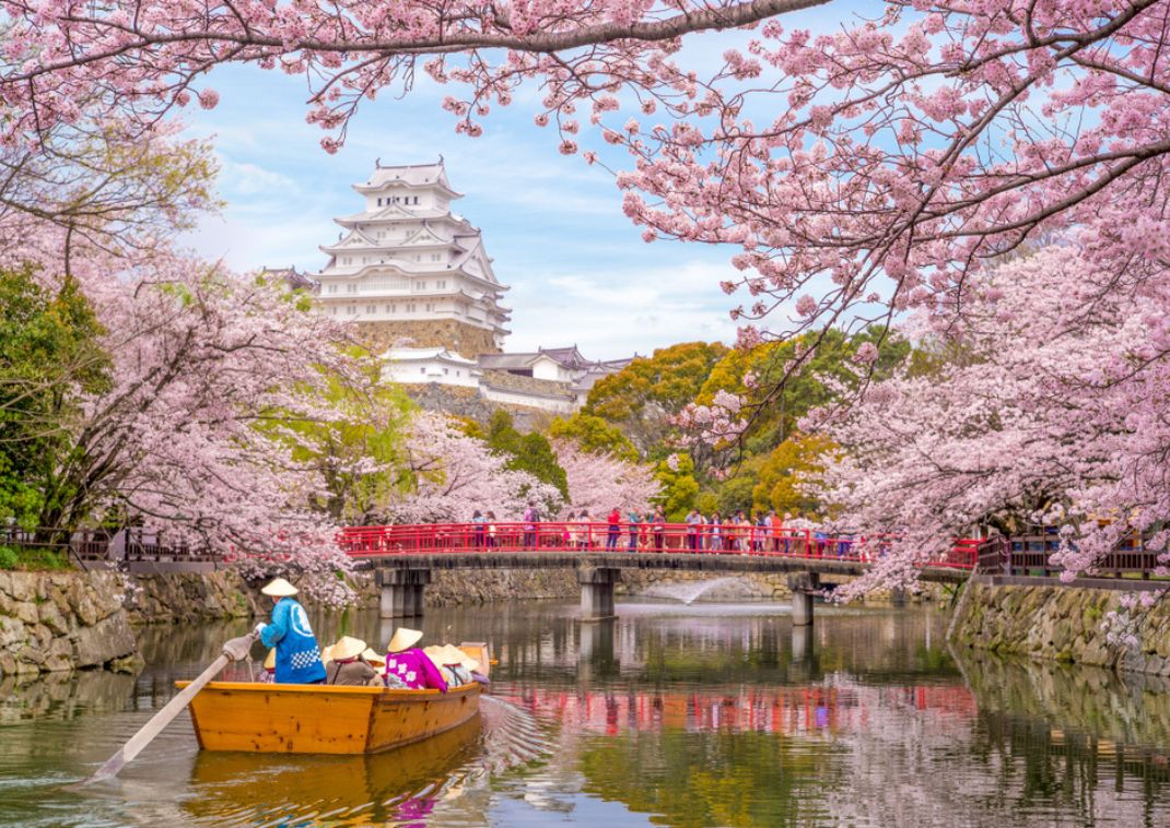 Bådtur på voldgraven ved Himeji-slottet i forårets kirsebærblomstring, Japan.