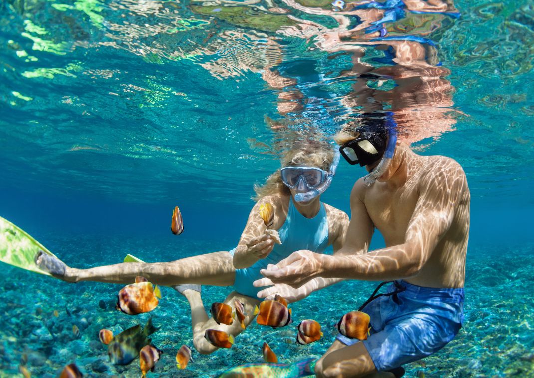 Et par snorkeler og fodrer fisk under vand