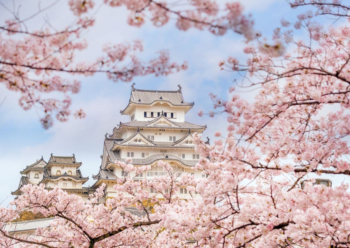 Himeji-borgen om foråret, Japan