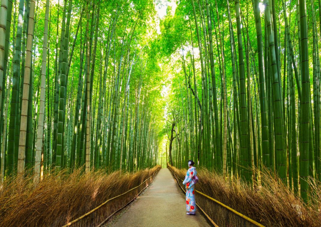 Pige iført yukata i bambusskoven i Arashiyama, Kyoto, Japan.