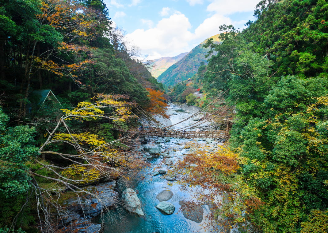 Kazurabashi-broen, Tokushima