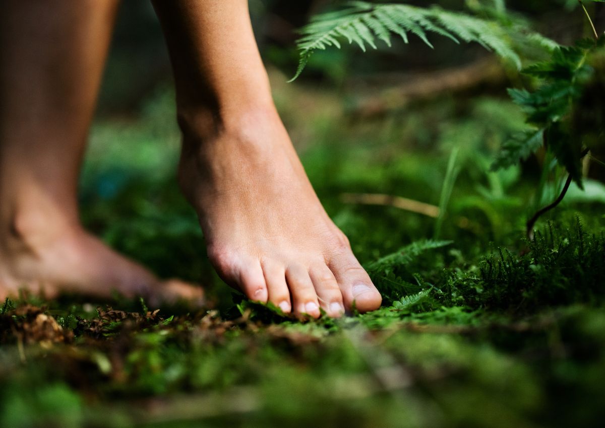 Kvindes bare fødder i en skov