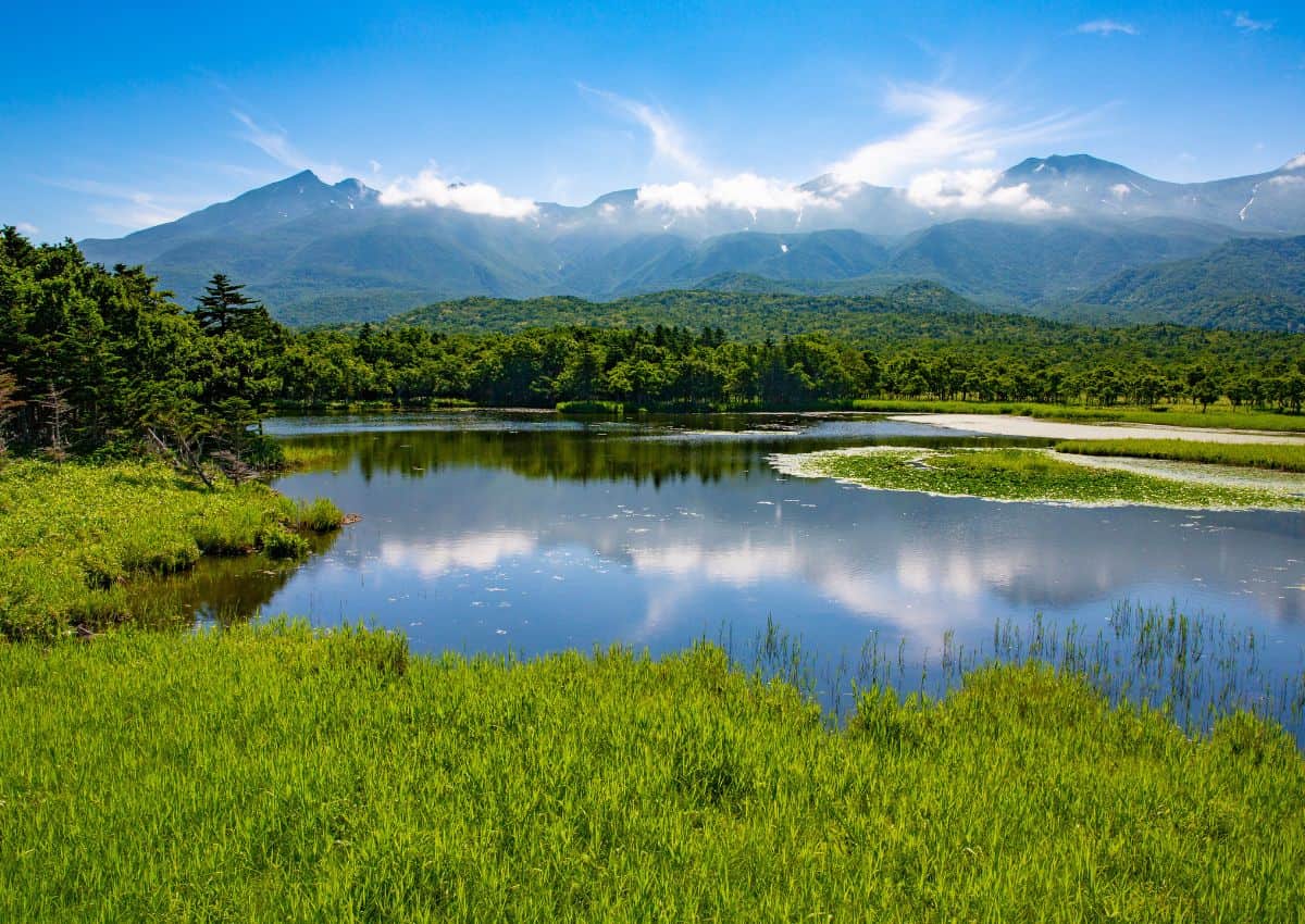 Landskab i Shiretoko Nationalpark på Hokkaido.