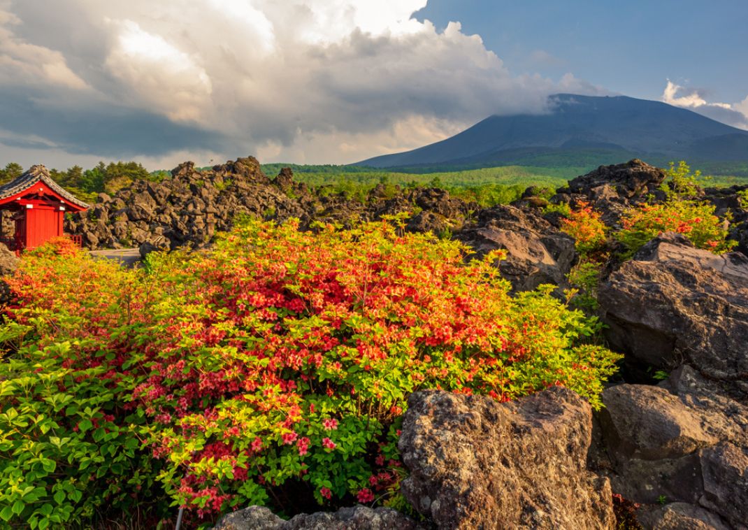 Vulkanske sten i Onioshidashi Parken, tæt på Mount Asama, Japan