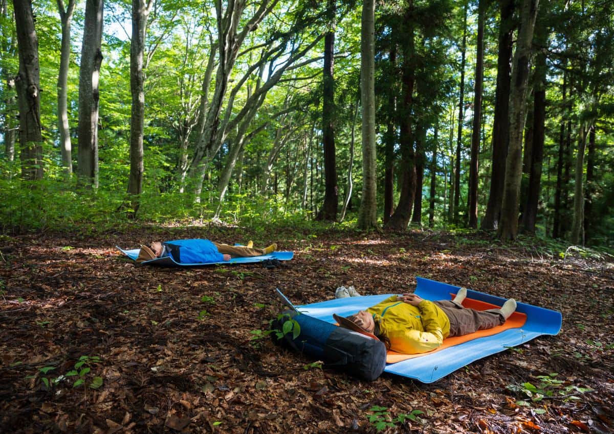 Deltagere ligger på skovbunden under shinrin-yoku i Japan