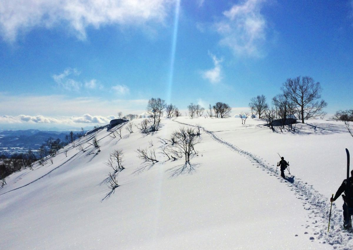 Off-poste skiløbere i Niseko, Hokkaido