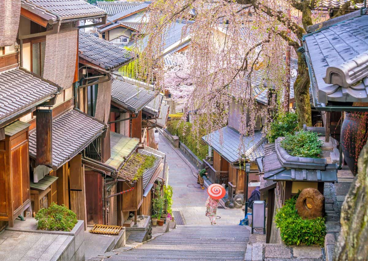 Kyoto under kirsebærblomstringen, Japan