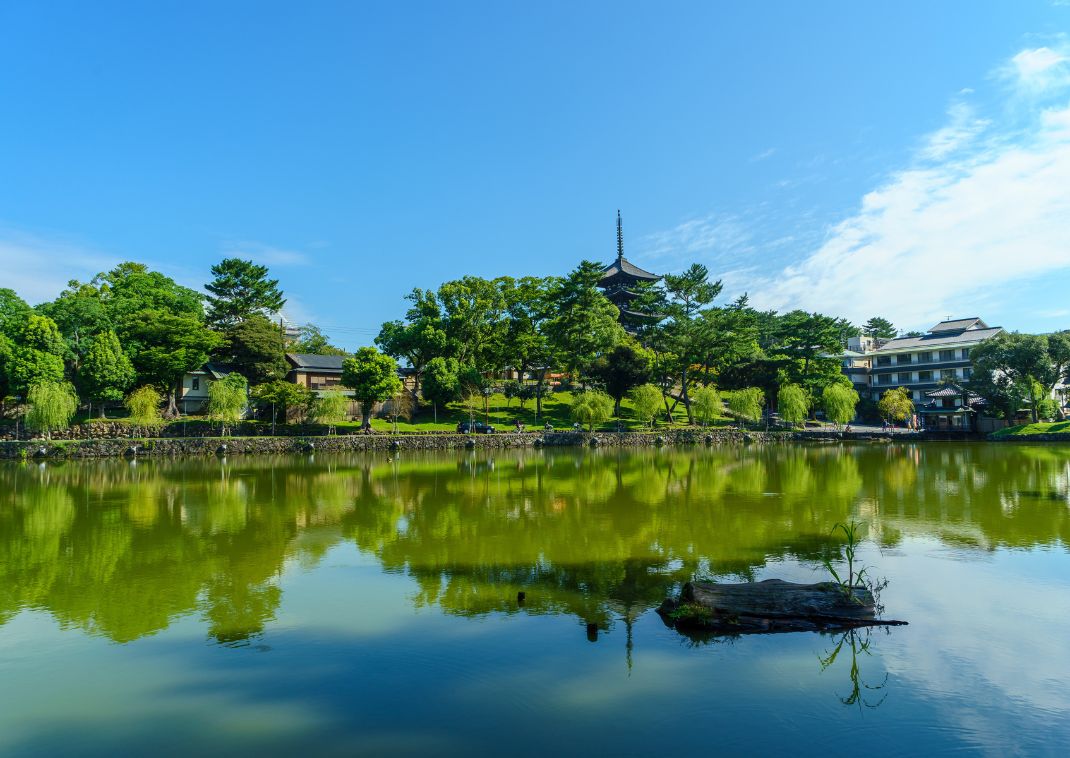 Traditionel japansk pagode og grønne træer spejler sig i en stille dam under en klar blå himmel i Nara