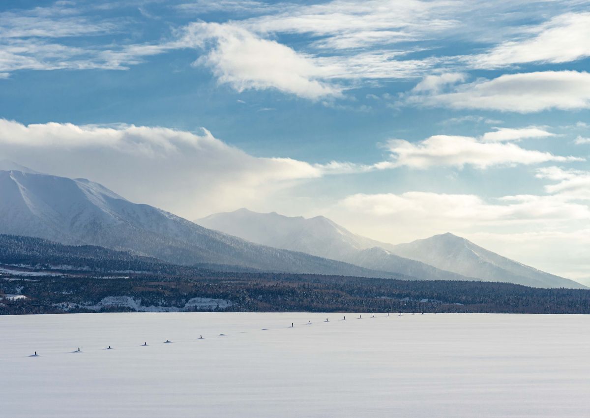 Vinterlandskab i Biei, Hokkaido