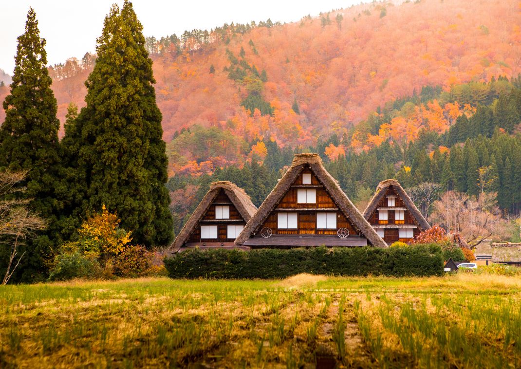 Hytter på UNESCO’s verdensarvsliste i Shirakawa-go, Japan 