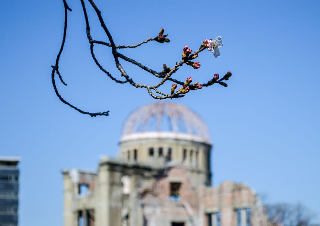 En kirsebærgren er lige ved at springe ud med Atombombekuplen i baggrunden, Hiroshima
