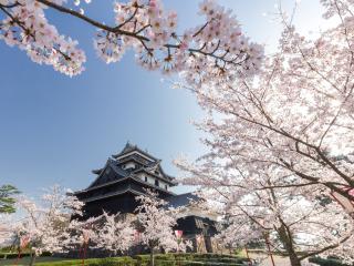 Matsue slott 