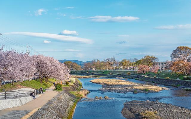 Kamogawa flodbredden