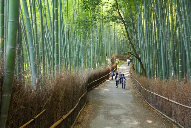 Arashiyama, Kyoto 