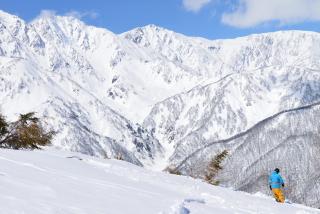 Off-piste på Hakuba