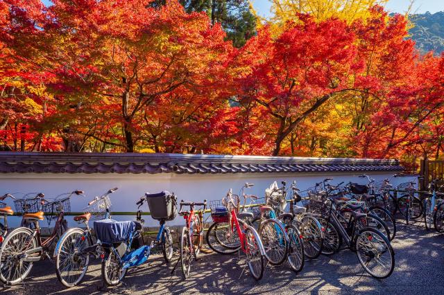 Cykler i Kyoto