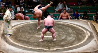 Sumo turnering