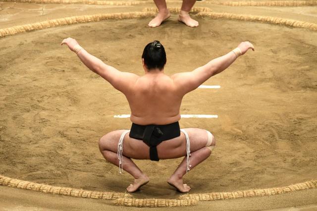 Sumo bryder