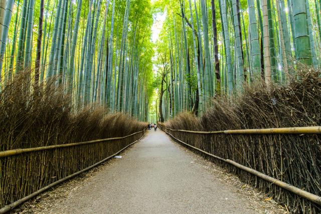 Arashiyama-området, Kyoto