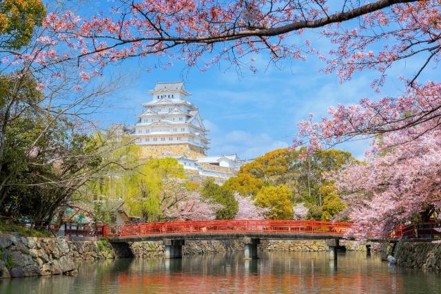 Himeji-borgen under sakura-sæsonen, Himeji 