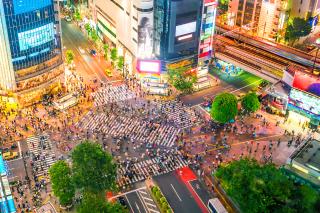 Shibuya-krydset, Tokyo