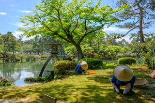 Kenrokuen-haven, Kanazawa