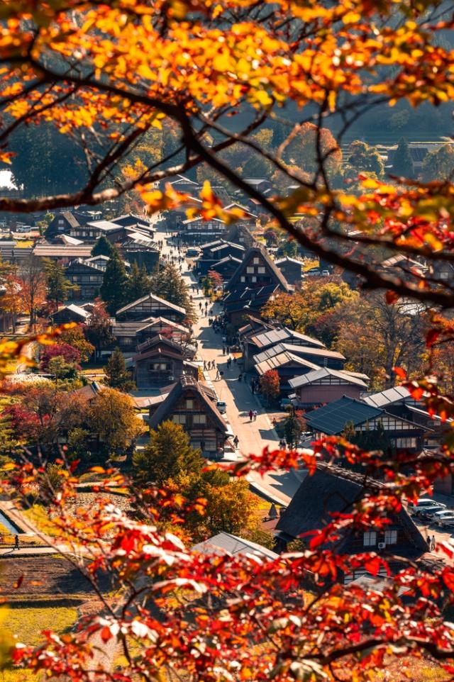 Efterår i landsbyen Shirakawa-go, Gifu