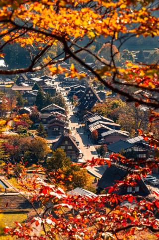 Efterår i landsbyen Shirakawa-go, Gifu