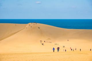 Tottori sandklitter 