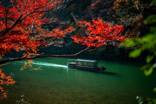 Kyoto - Arashiyama naturområdet