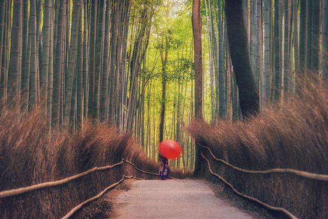 Kyoto - Arashiyama Bamboo Grove 