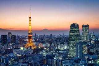Udsigt over Tokyo i solnedgangen, Japan