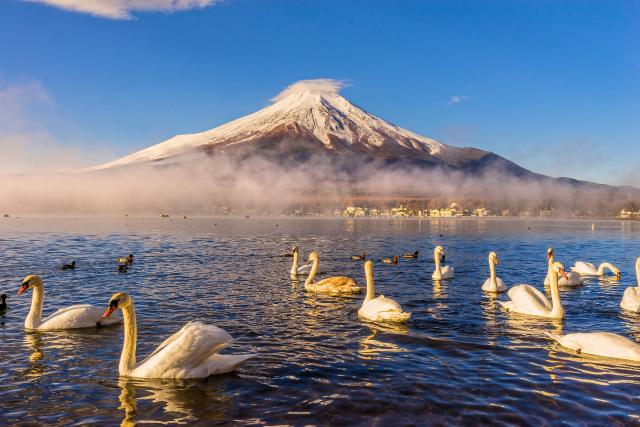 Mount Fuji set fra Yamanaka-søen