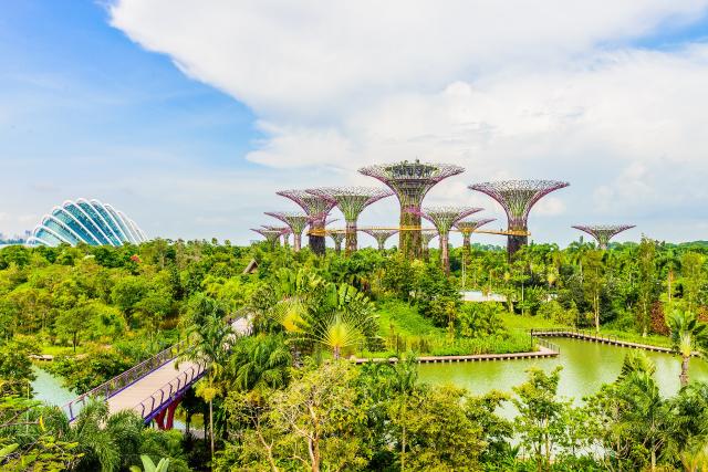 Gardens by the bay, Singapore
