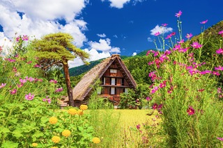 Traditionelle bondehuse om sommeren, Shirakawago