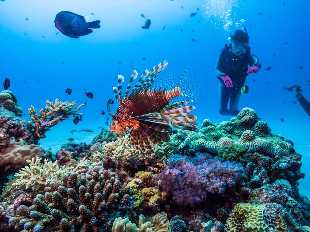 Snorkling 