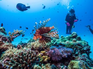 Snorkling