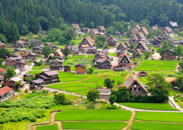 Ogimachi landsbyen om sommeren