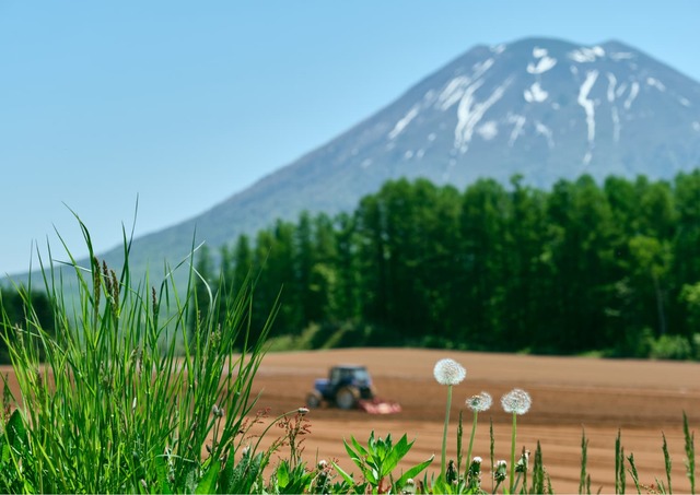 Gård under Mount Yotei, Niseko