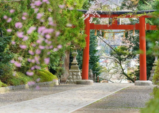 Torii-porten, Osaki Hachimangu-helligdommen, Sendai